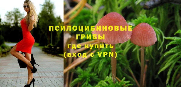 гидра Алексеевка