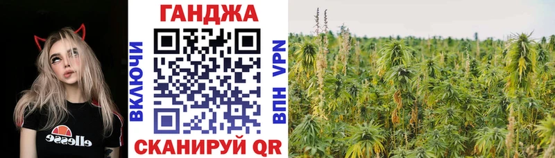 Бошки марихуана сатива  Дятьково 